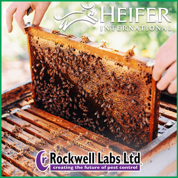 Rockwell Labs Is Proud to Support Heifer International