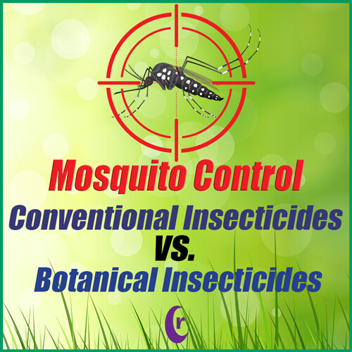 Mosquito Control - Conventional Insecticides vs Botanical Insecticides Blog Image