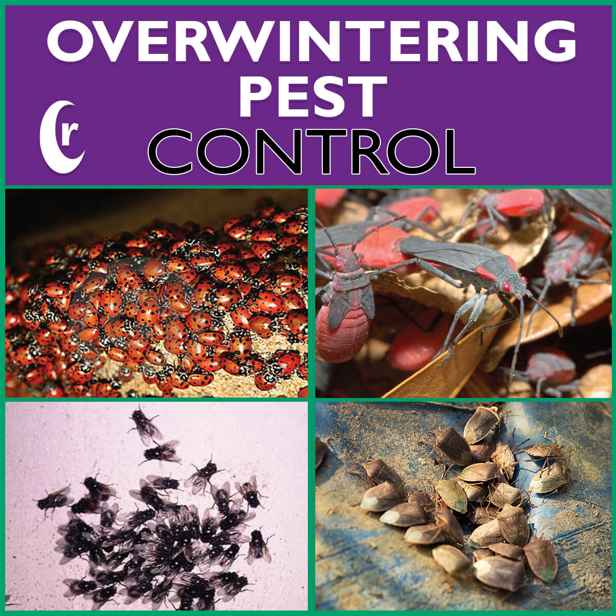 September 27, 2022 – Rockwell Labs Ltd