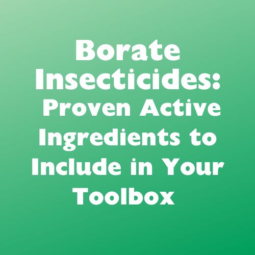 Borate Insecticides: Proven Active Ingredients to Include in Your Toolbox