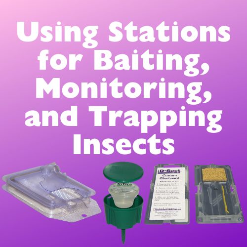 Using Stations for Baiting, Monitoring and Trapping Insects