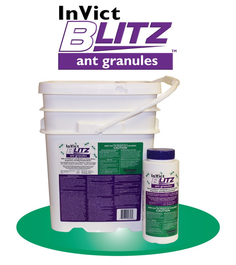 InVict Blitz – Rockwell Labs Ltd